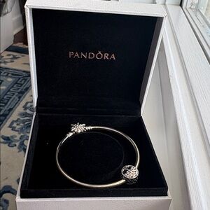 Pandora Silver Bracelet with Family Tree Charm “Family is Where Love Grows”